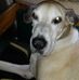Debra Verner - Facebook