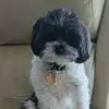 Debra Wade wadebug - @debra.wade.wadebu - TikTok
