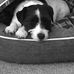Debra Wakefield - Facebook