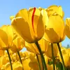 deb waldman - @debwaldman0622 - TikTok