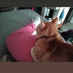 Debra Walter - @debrawalter367 - Instagram