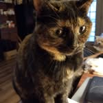 Debra Walters - @debra.walters.7 - Instagram