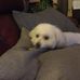 Deborah Ware - Facebook