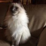 Debra Tootle Ware - @ware1344 - Instagram