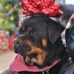 Debra Austen Waters - @debra.waters - Instagram