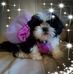 Debra Waters - Facebook