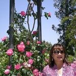 Debra Waters Shinto - @debrashinto - Instagram