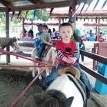 Debra Watkins - @debra9975 - Instagram