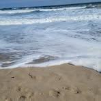 Debra Wayne - Facebook