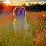 Debra Webber - @deebswebber - Instagram