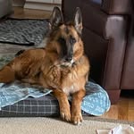 Debra Weir - @beachdeb - Instagram