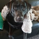 Debra Weir - @debra.weir.92 - Instagram