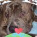 Debbie Welling - Facebook