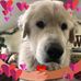 Debbie Welling - Facebook