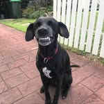 Debbie Wellington - @debrawellington - Instagram