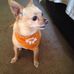 Debra Wertz - Facebook