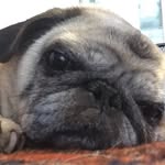 Debra Wescott - @wescottdebra - Instagram