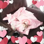 Debra Wescott - @debrawescott75 - Instagram