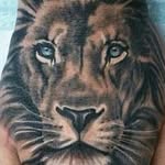 Debbie Wesson - @debra_the_zebra59 - Instagram