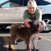 Debra West845 - @debrawest845 - TikTok