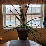 Debra Whaley - @debra.wha54444 - Instagram
