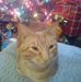 Debra Whitaker - Facebook