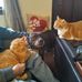 Debra Whitaker - Facebook