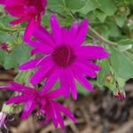Debra Wickersham - @debrawickersham - Instagram
