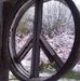 Deborah Wickham - Facebook
