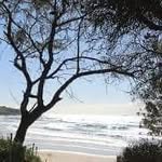 Debra Wicks - @debradownunder - Instagram