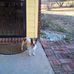 Debra Wicks - Facebook
