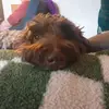 Debra - @debra.wilde7 - TikTok
