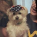 Debra Wildey - @debrawildey - Instagram