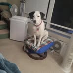 Debra Wiley - Facebook