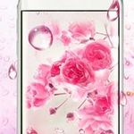 Debra Wiley - @debra.wiley.754 - Instagram