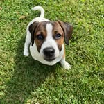 Debra Willey - @dwilley1958 - Instagram