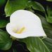 Debbie Winchell - Facebook