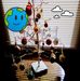 Debbie Winfrey - Facebook