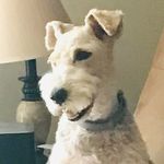 Deb Wingard Ramsey - @shadow_girl_948 - Instagram