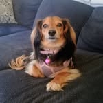 Debra Wingate - @wingatedebra - Instagram