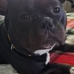 Debra Winright - @debbiewinright - Instagram