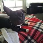 Debra Winright - @debrawinright - Instagram