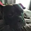 Debra Winright - @debra.winright - TikTok