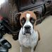 Debra Wright - Facebook