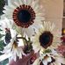 Debra Witherspoon - Facebook