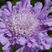 Debra Witt - Facebook
