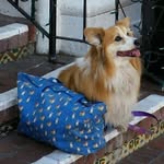 Debra Witt Dudley - @debra.dudley.397 - Instagram