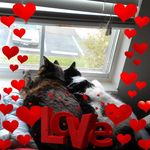 Debra Wold - @debra.wold.7 - Instagram