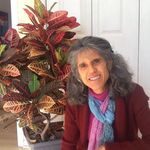 Debra Wolf - @debrawolf19 - Instagram
