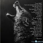 Debra Wolf - @debra.wolf.5055 - Instagram